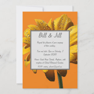 Dew Drops Daisy Wedding Invitation