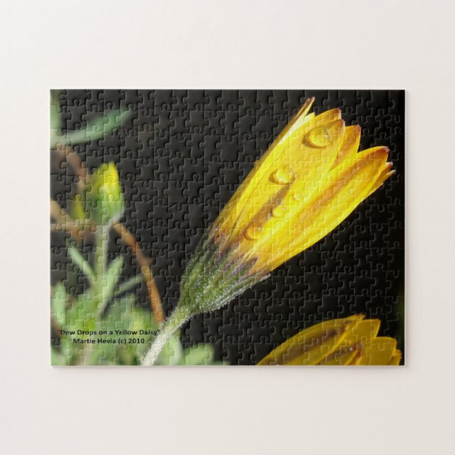 Dew Drops on a Yellow Daisy - Puzzle (Horizontal)