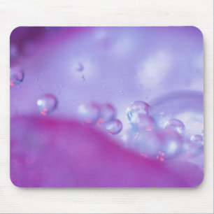 Dew drops on flower petal abstract. Credit as: Mouse Mat