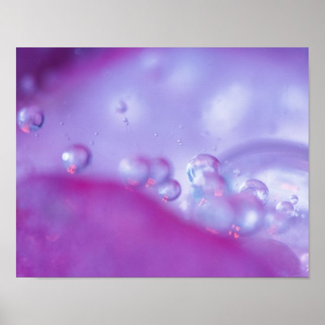 Dew drops on flower petal abstract. Credit as: Poster (Front)