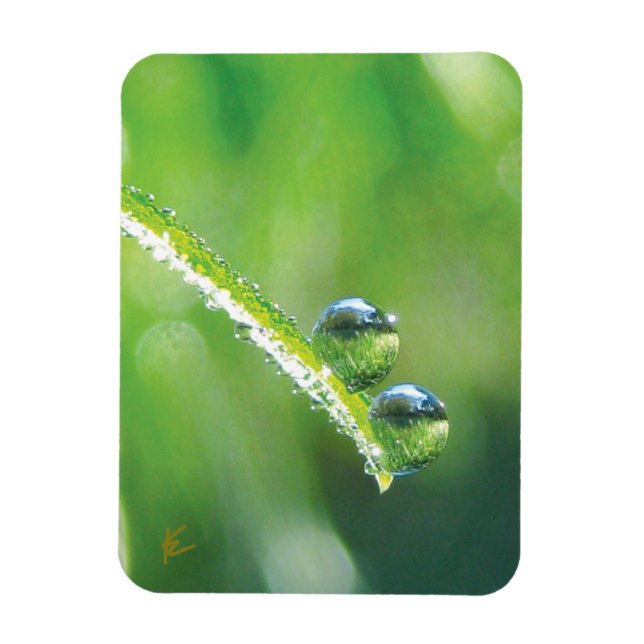 Dew Drops on Green Grass Peaceful Nature Magnet (Vertical)