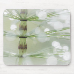 Dew Drops on Horsetail Plant   Seabeck, WA Mouse Mat