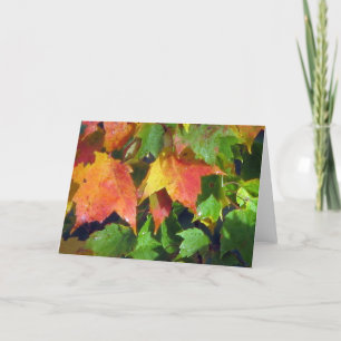 Dew Drops On Maple Card