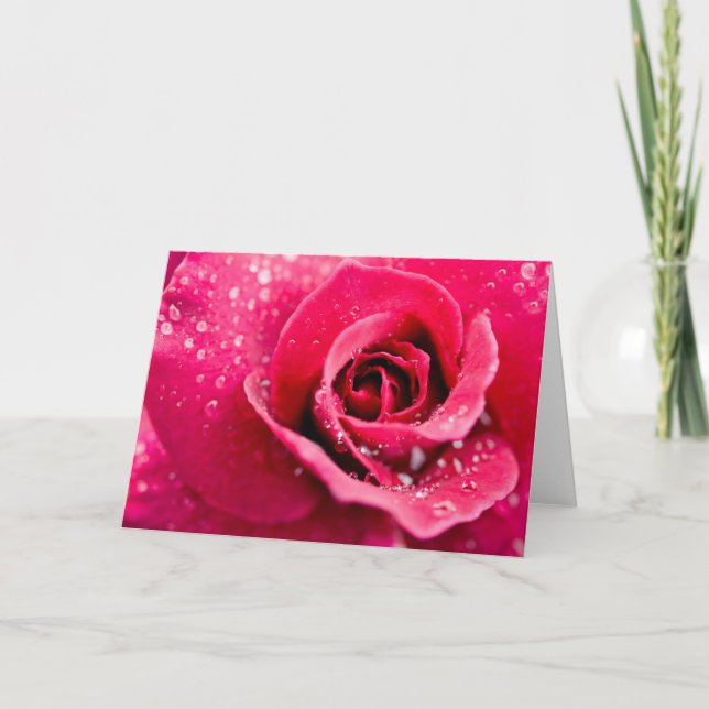 Dew Drops on Rose Greeting Card (Front)