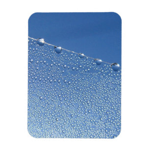 Dew Drops on Spider Web Against Blue Sky Magnet