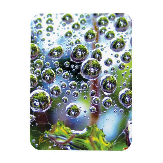 Dew Drops on Spider Web Amazing Nature Magnet (Vertical)
