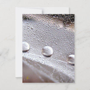 Dew Drops on Spider Web Galaxy Nature Postcard