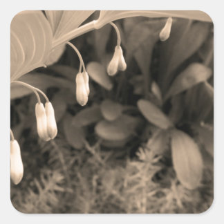 Dew Drops Square Sticker