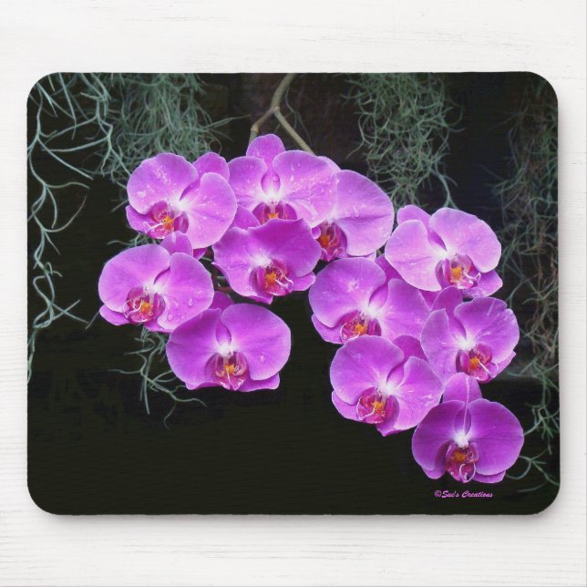 Dew-Kissed Orchids Mouse Mat (Front)