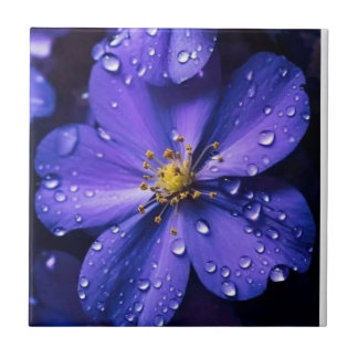 Dew-kissed Purple Bloom Tile