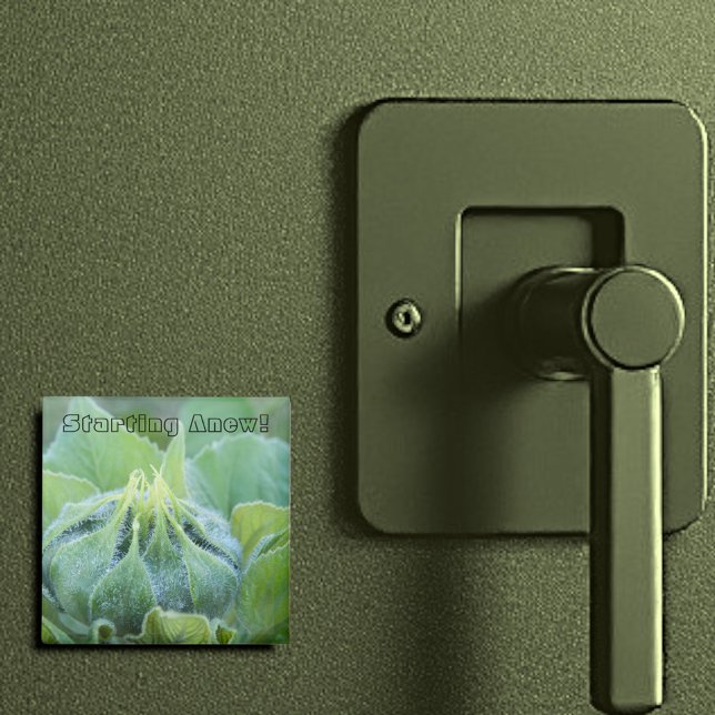 Dew Moistened Sunflower Bud Close-Up Photograph Magnet (2" square magnet)