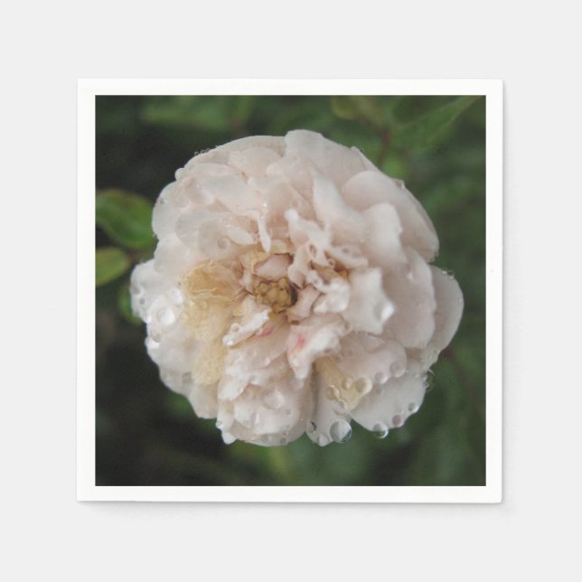 Dew on a Flower Napkin (Front)