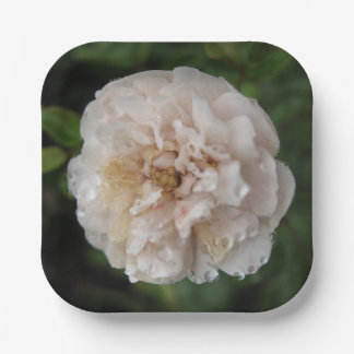 Dew on a Flower Paper Plate