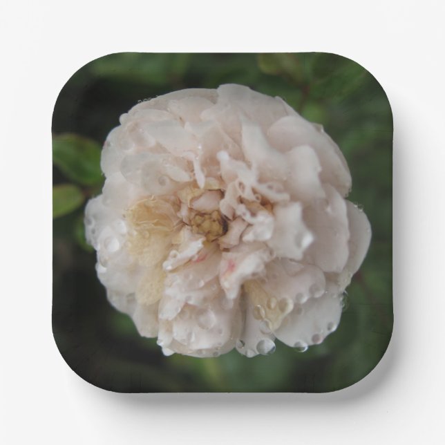 Dew on a Flower Paper Plate (Front)