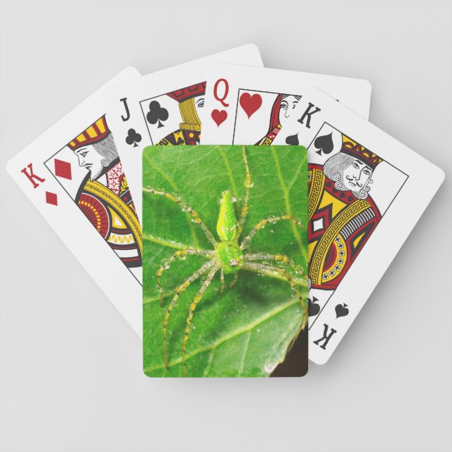 Dew on a Green Lynx Spider Playing Cards (Back)