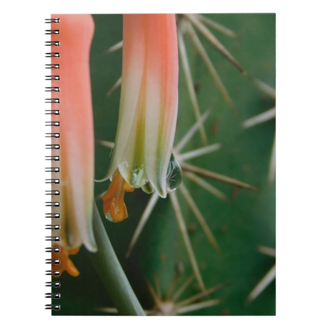 Dew on Aloe Bloom Notebook (Front)