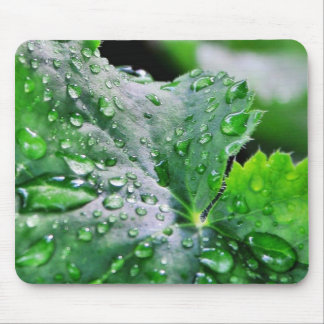 Dew Water Droplets Drops Mouse Mat