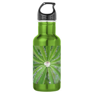 Dewdrop 532 Ml Water Bottle