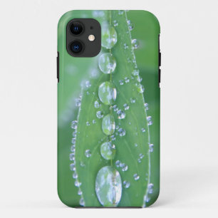 Dewdrop iPhone 11 Case