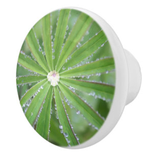 Dewdrop Ceramic Knob
