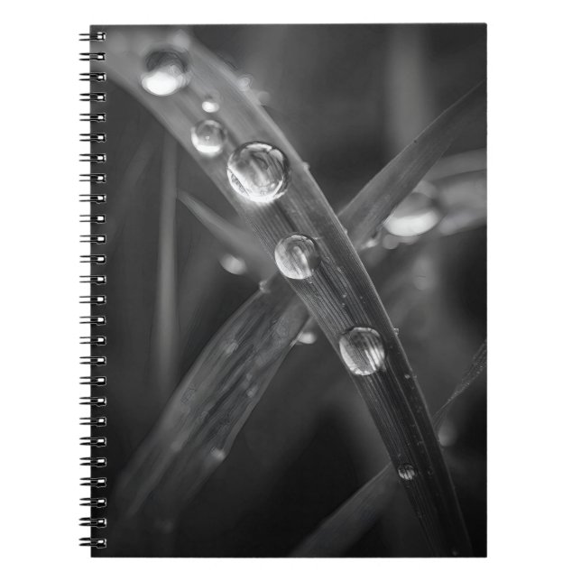 Dewdrop Grass Blade Macro Notebook (Front)