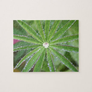 Dewdrop Jigsaw Puzzle