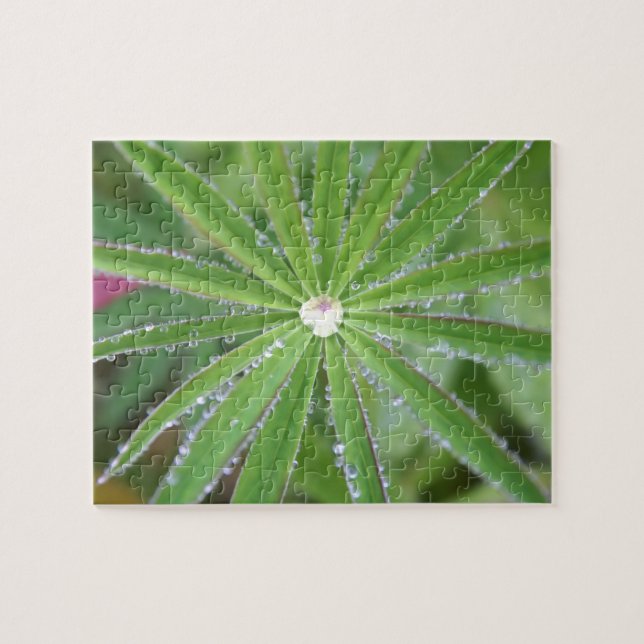 Dewdrop Jigsaw Puzzle (Horizontal)