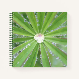 Dewdrop Notebook