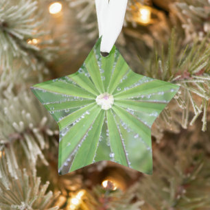 Dewdrop Ornament