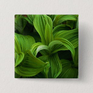 Dewdrops on a False Helabore 15 Cm Square Badge