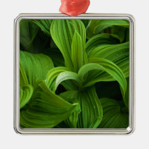 Dewdrops on a False Helabore Metal Tree Decoration