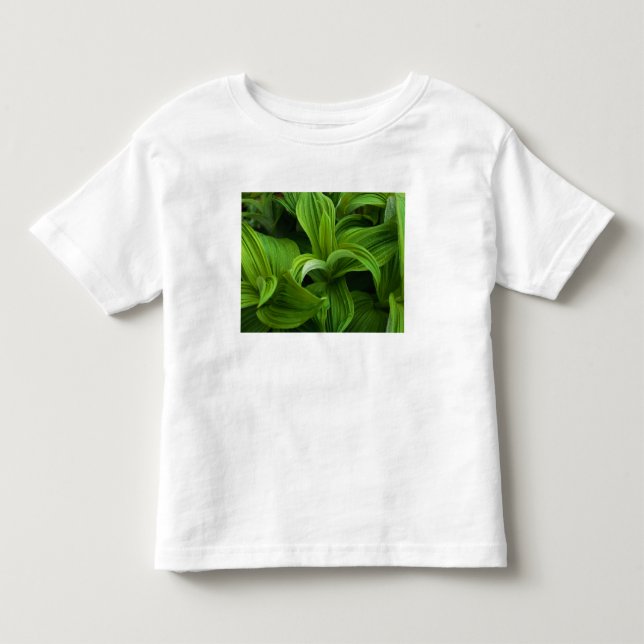 Dewdrops on a False Helabore Toddler T-Shirt (Front)