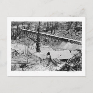 Dewey Gold Mine on Thunder Mountain, Idaho Postcard