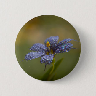 Dewy Blue-Eyed 6 Cm Round Badge