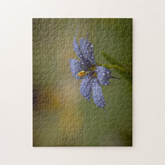 Dewy Blue-Eyed Jigsaw Puzzle