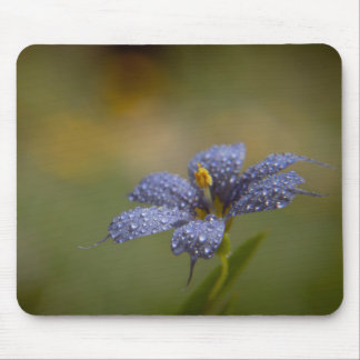 Dewy Blue-Eyed Mouse Mat