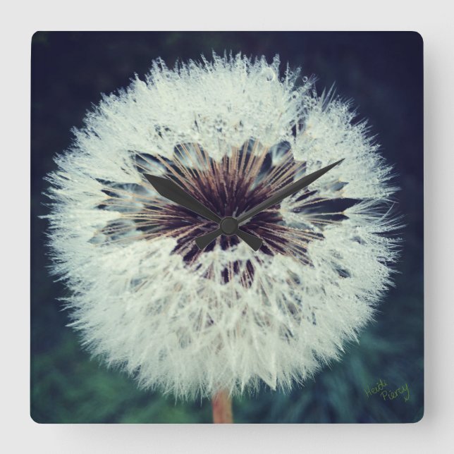 Dewy Dandelion Clock ...Clock! (Front)