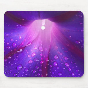 Dewy Morning Glory Close-up Mouse Mat