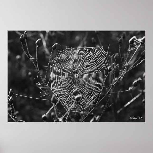 Dewy Morning Web Poster (Front)