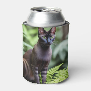 Dexter The Black Siamese Cat, Can Cooler