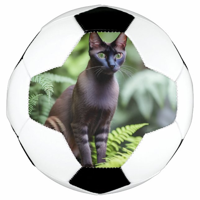Dexter The Black Siamese Cat, Soccer Ball (Front)
