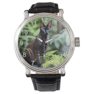 Dexter The Black Siamese Cat, Watch