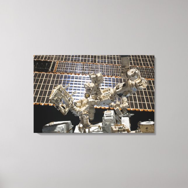 Dextre Canvas Print (Front)