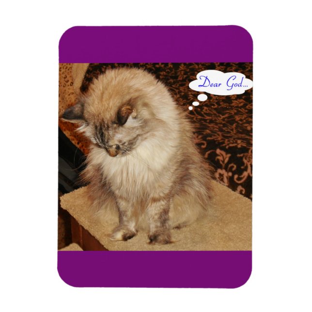 Dezi prays magnet (Vertical)