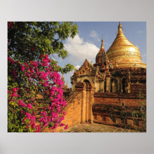 Dhamma Yazaka Pagoda at Bagan (Pagan), Myanmar Poster