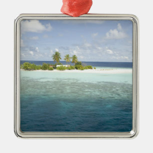 Dhiggiri Island, South Ari Atoll, The Maldives, Metal Tree Decoration