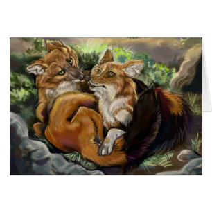 Dhole Cuddle Couple
