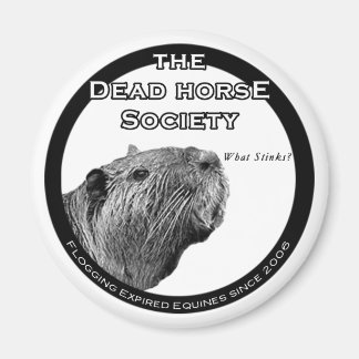 DHS Refrigerator Magnet