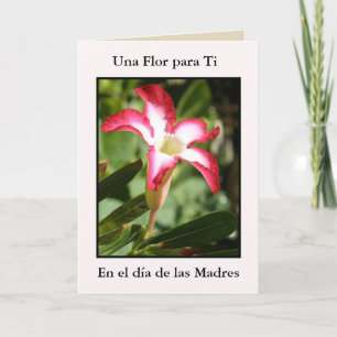 Dia de Las Madres Una flor para ti Card