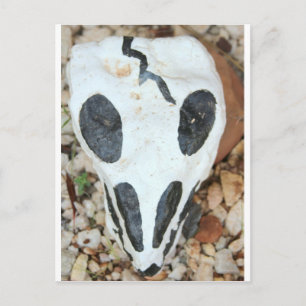 dia del muerte skull postcard